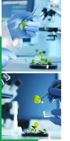 創(chuàng)新驅(qū)動(dòng)，智領(lǐng)未來——我們的企業(yè)簡(jiǎn)介